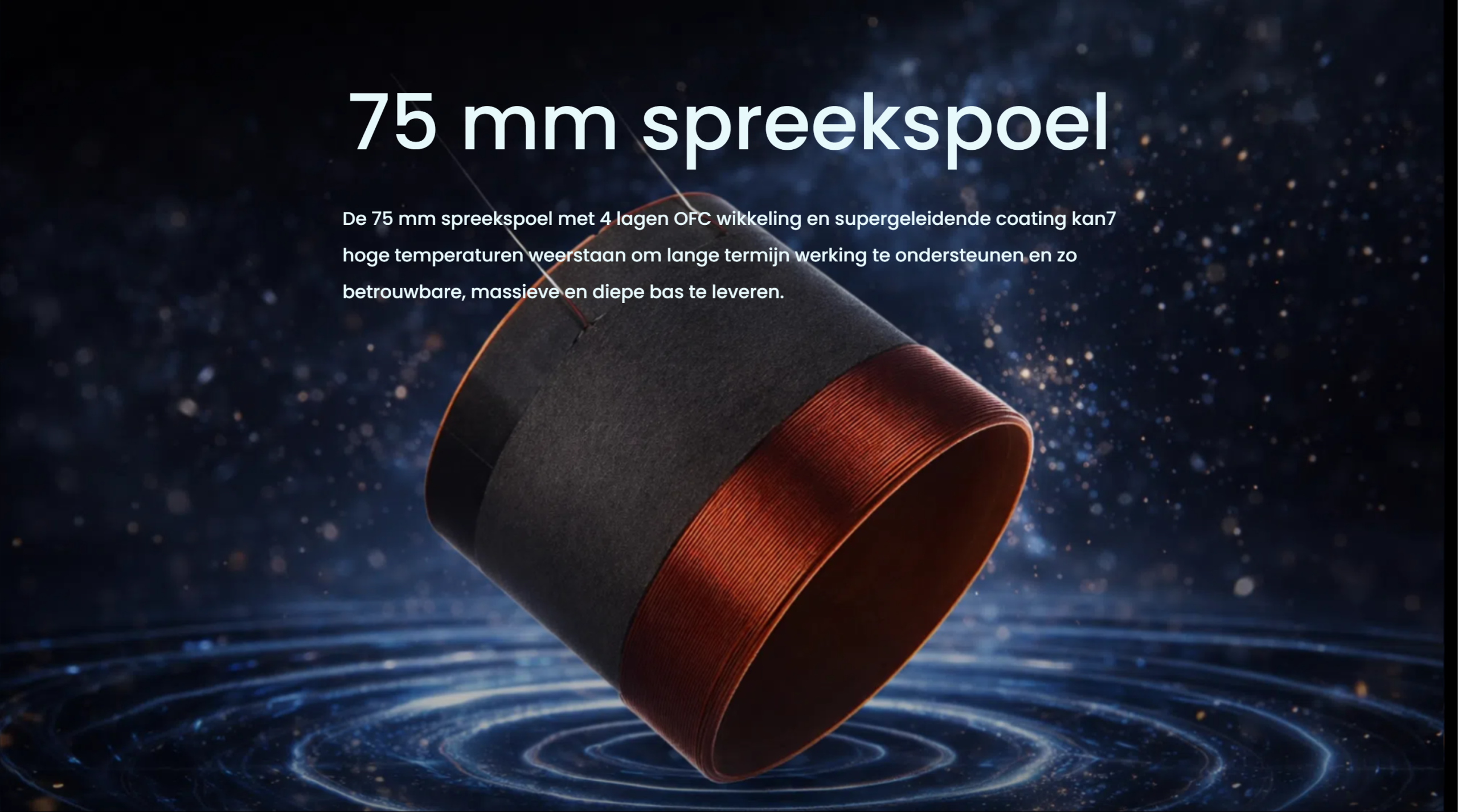dutch Image 6