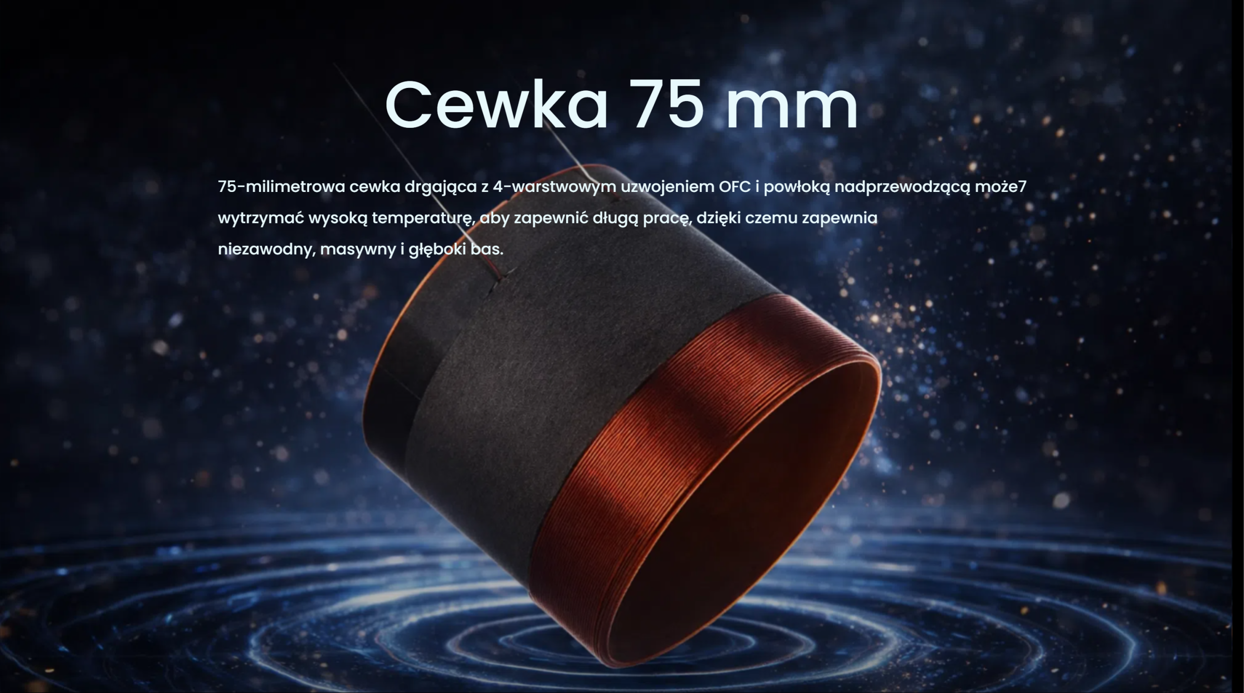 polish Image 6
