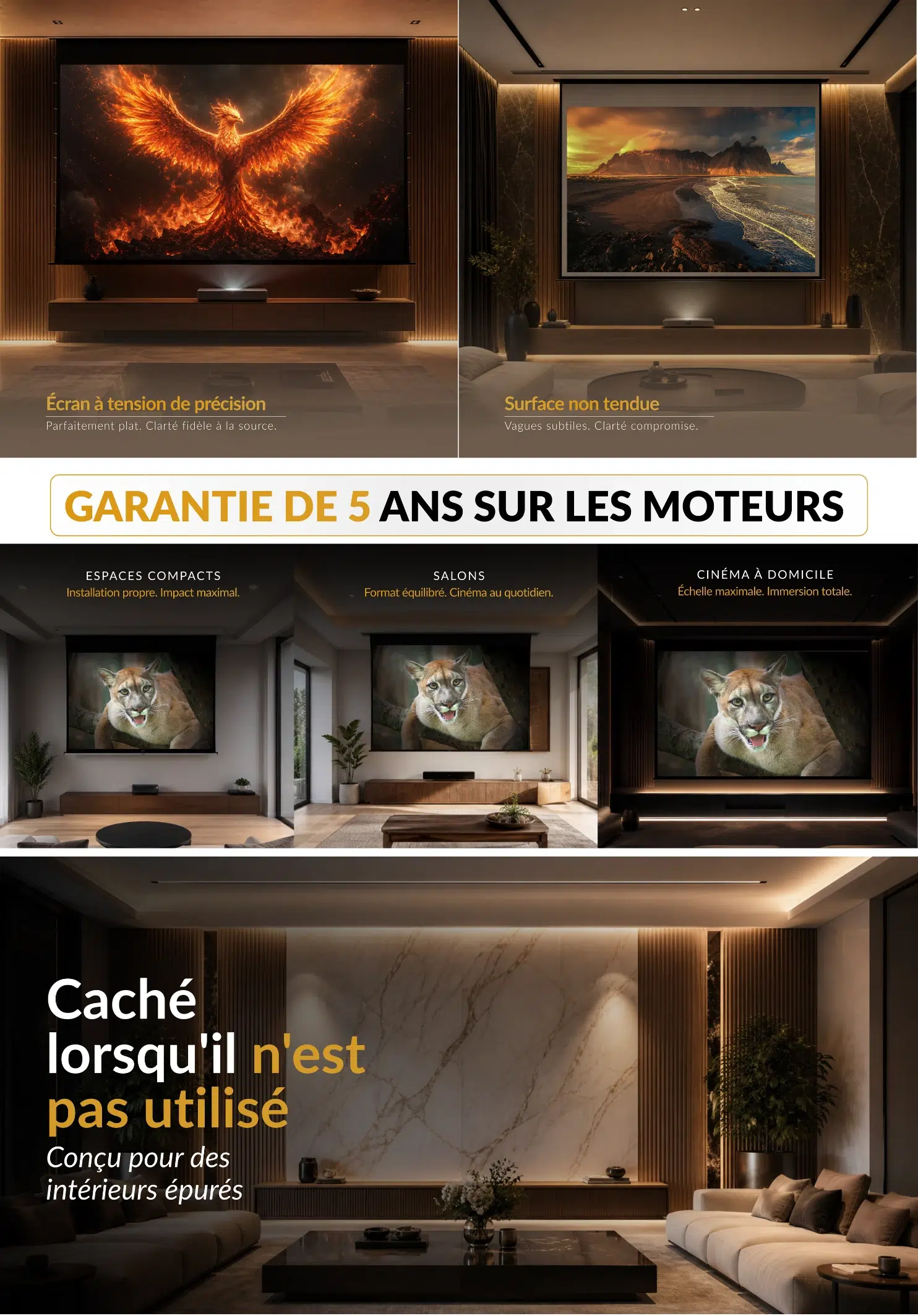 french Image 2