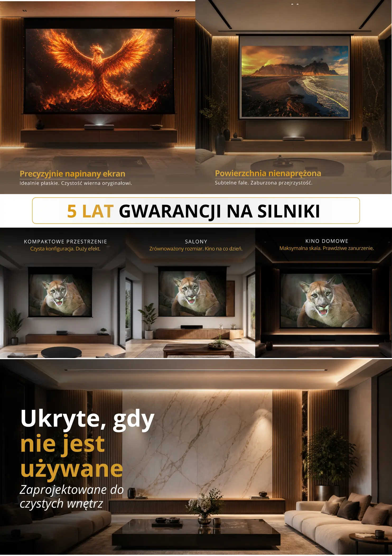polish Image 2